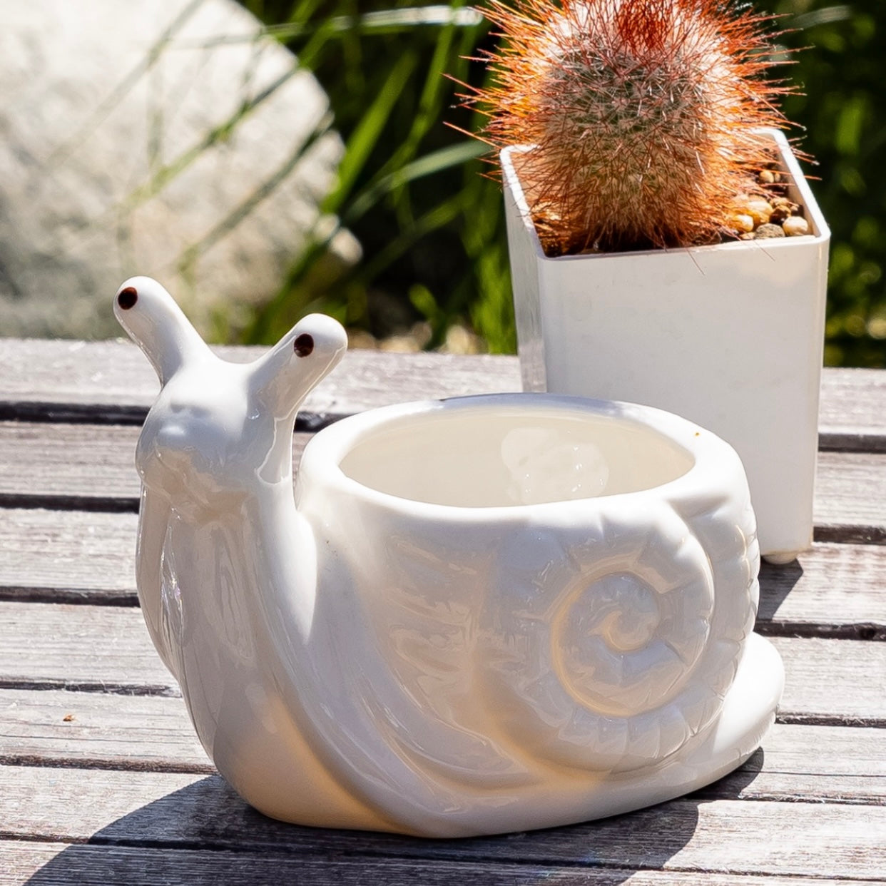 Pote de Caracol de Cerâmica