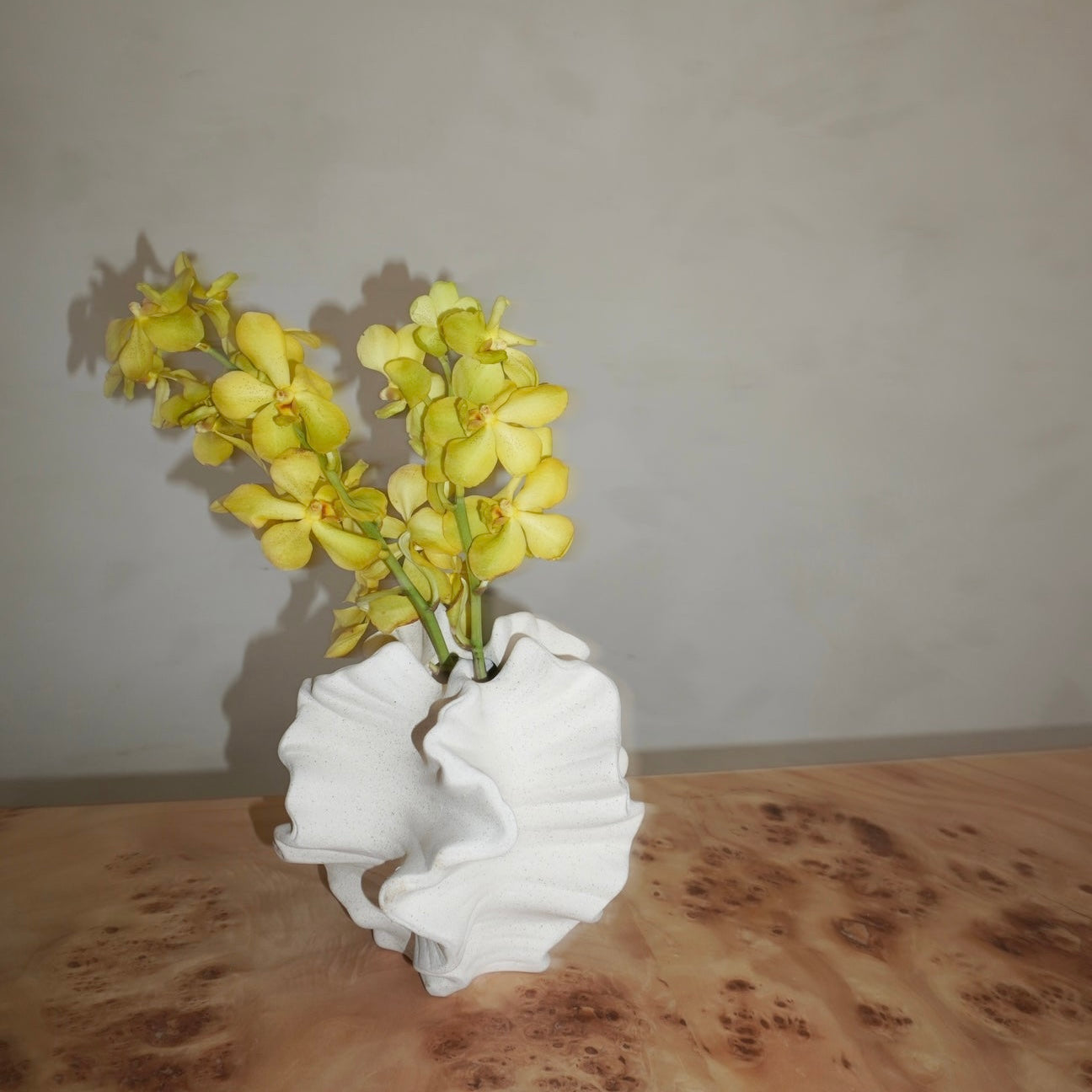 Vaso Serenità de Cerâmica