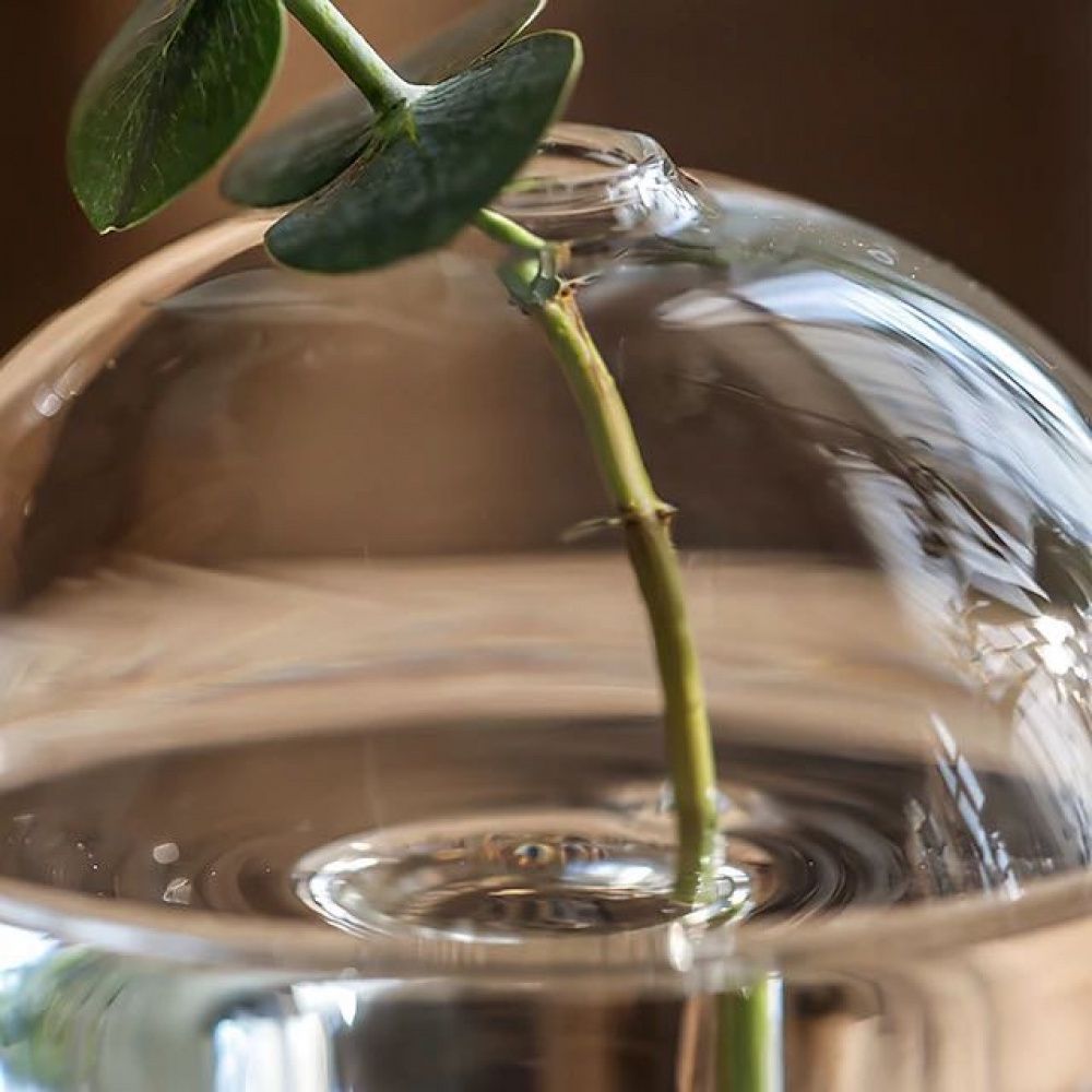 Vaso de Vidro Cogumelo Transparente