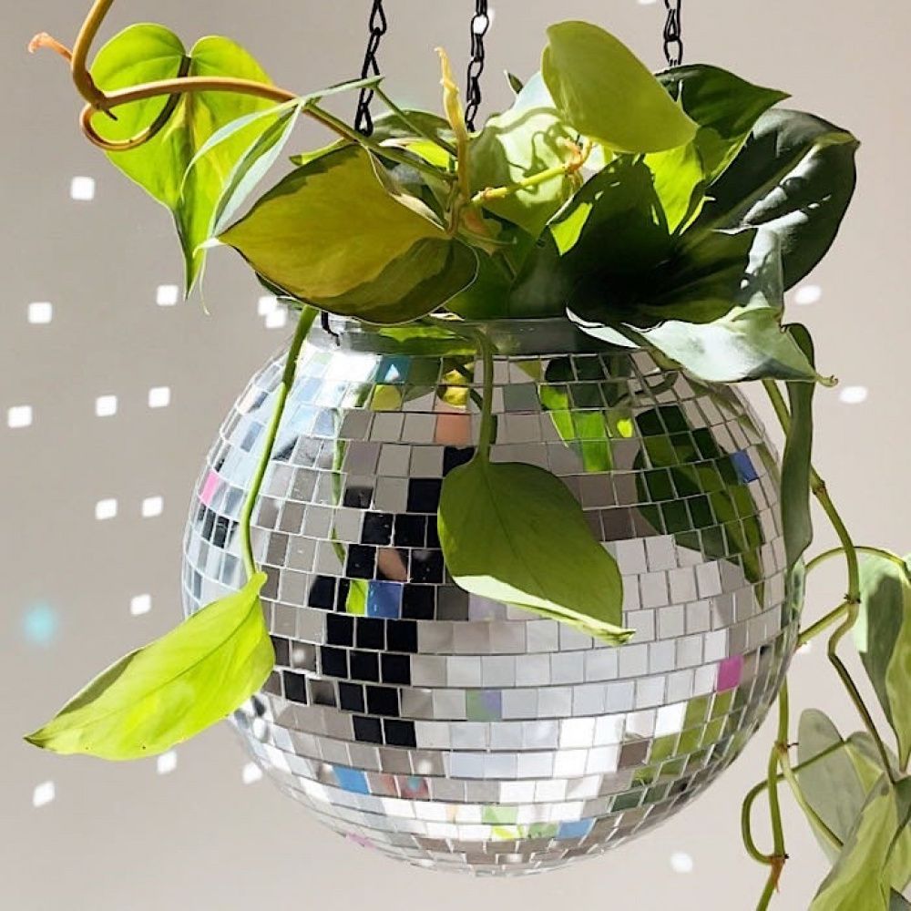 Vaso Discoteca Decorativo