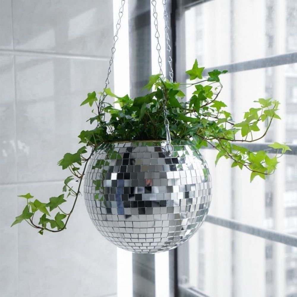 Vaso Discoteca Decorativo