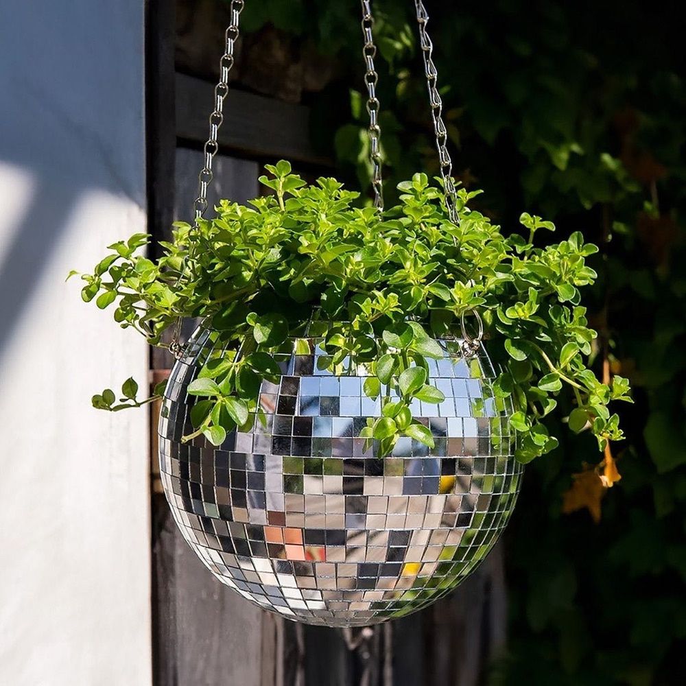 Vaso Discoteca Decorativo