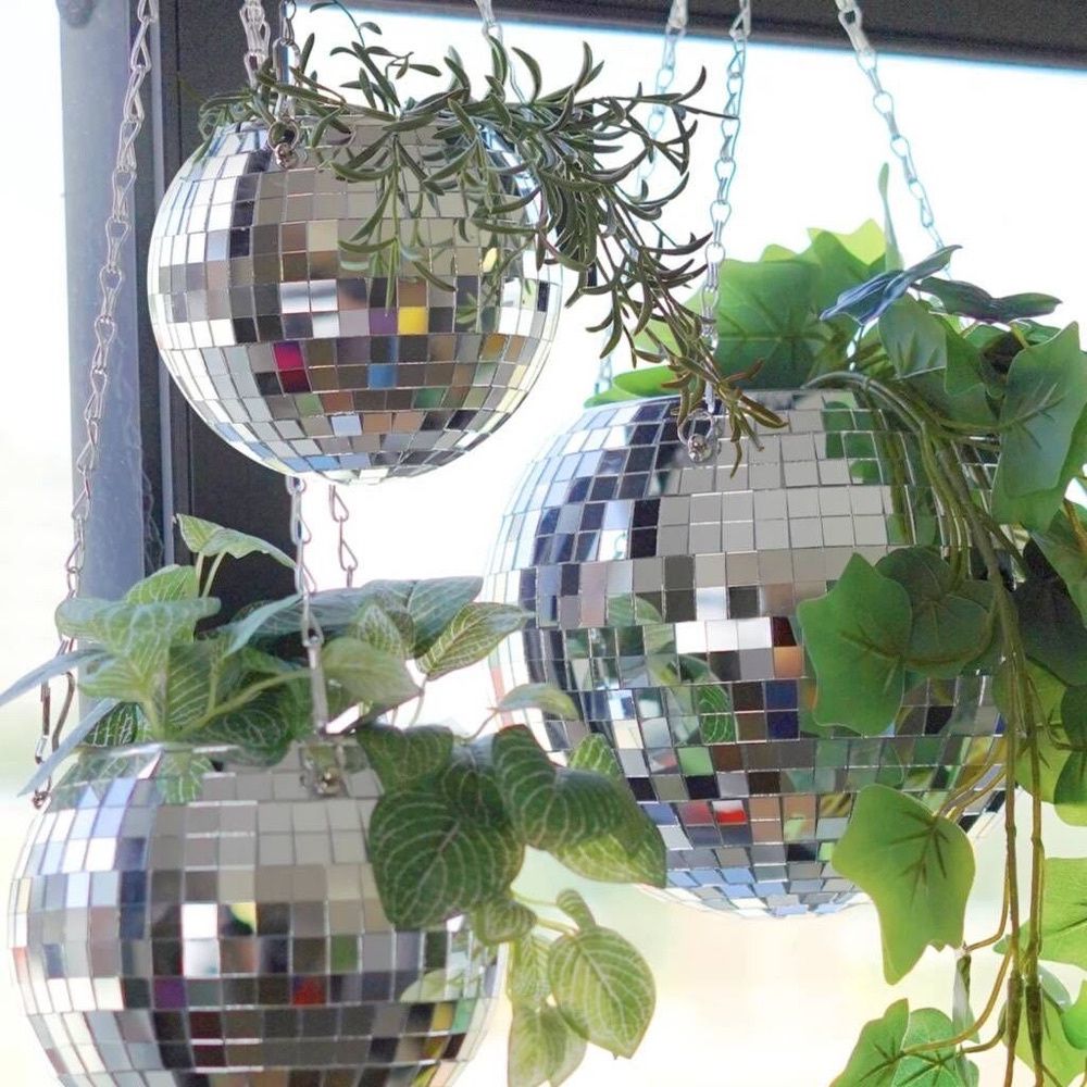 Vaso Discoteca Decorativo