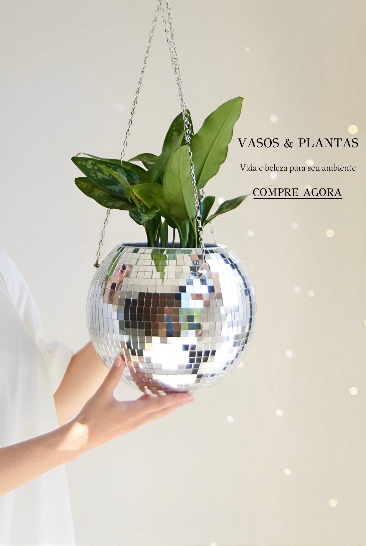 ✶ Vasos & Plantas