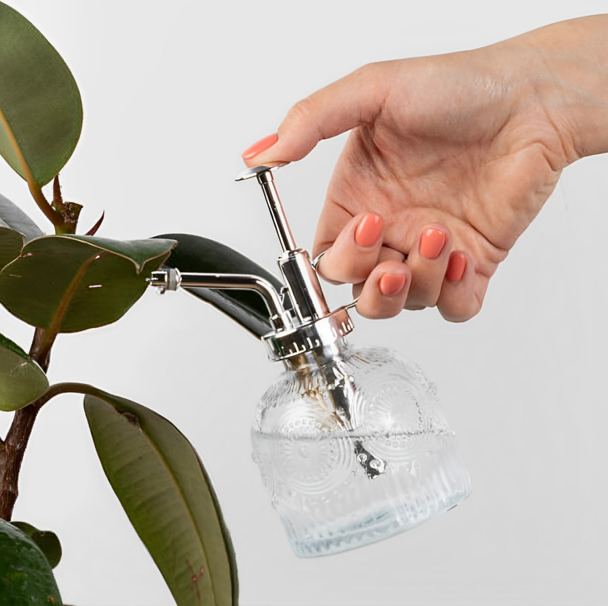 Frasco Borrifador para Plantas de Vidro Transparente