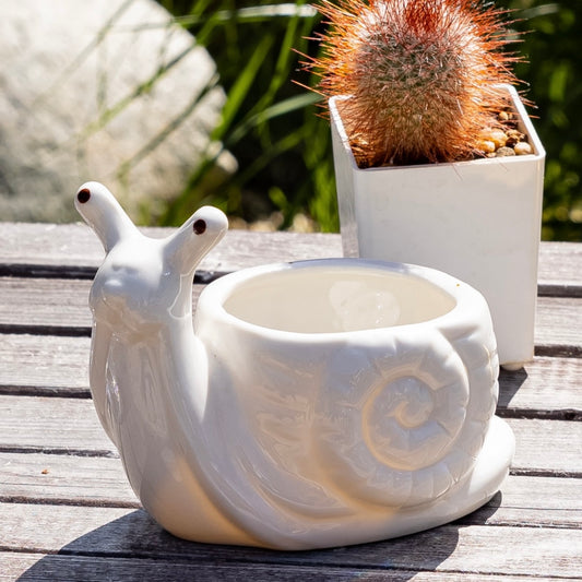 Pote de Caracol de Cerâmica
