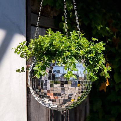 Vaso Discoteca Decorativo